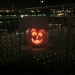 Our pumpkin is sat out looking over the quay. #fb